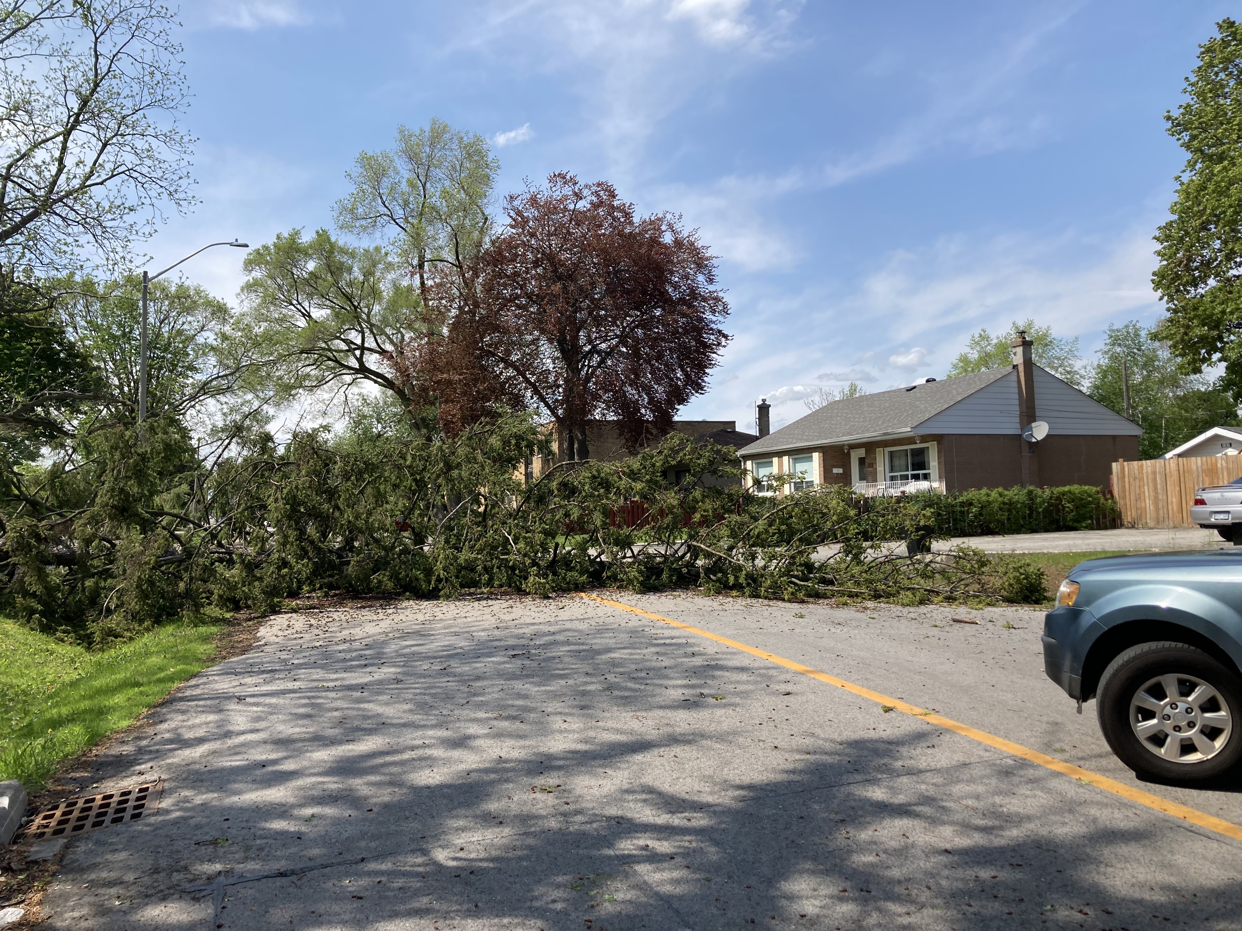 A downed tree closes off Maurice just north of Rebecca Street on May 21, 2022 | Oakville News N.M.